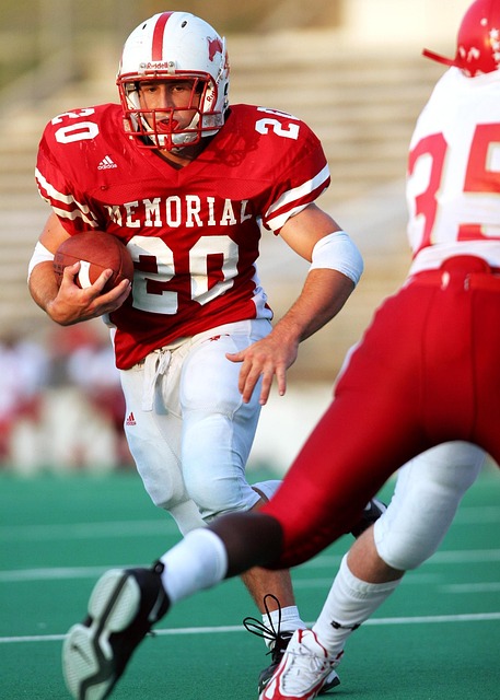 仅展示了申 仅展示了申